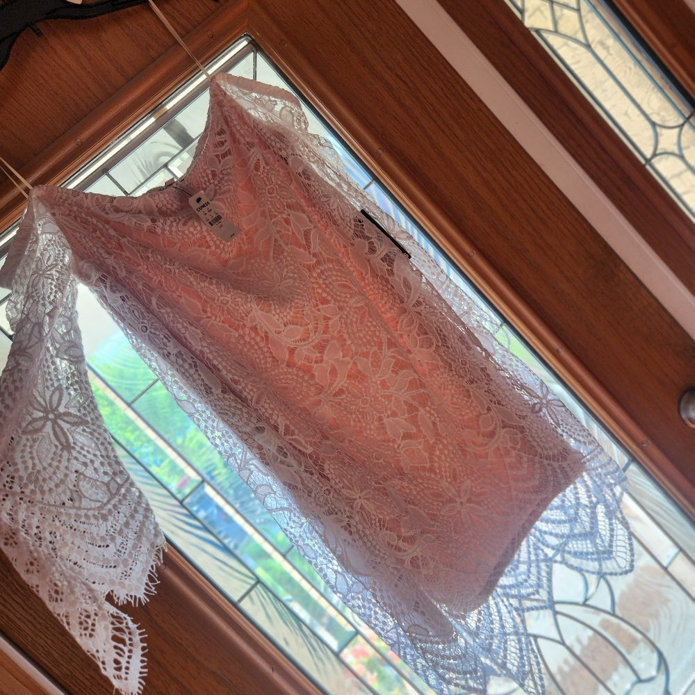 Superfab off-the-shoulder lace dress from Express Size Large